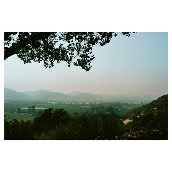 000360200005 copy.jpg