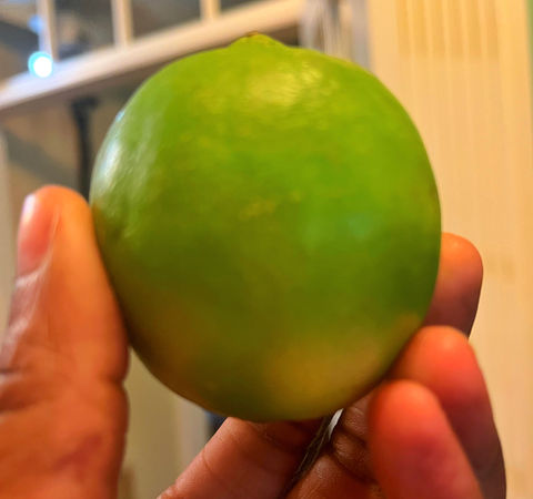 Beverlysartisanaleats.com