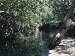 vsco_031117-1