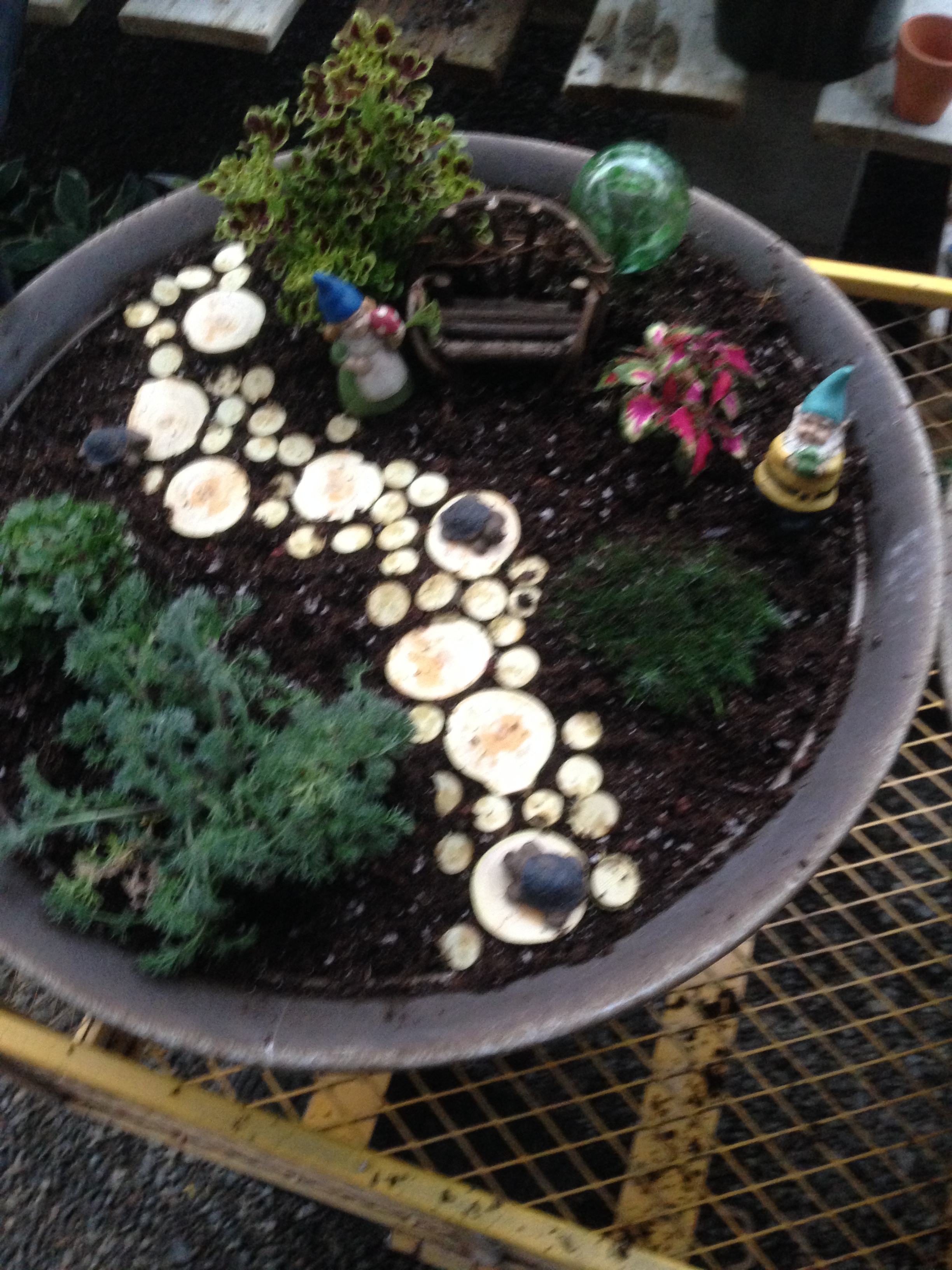 Fairy Garden Gallery Thegardengateway Com Logan Greenhouse And Garden Center