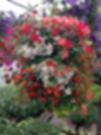 Greenhouse Logan Utah Garden Center