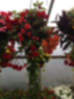 Logan Utah Garden Center Greenhouse
