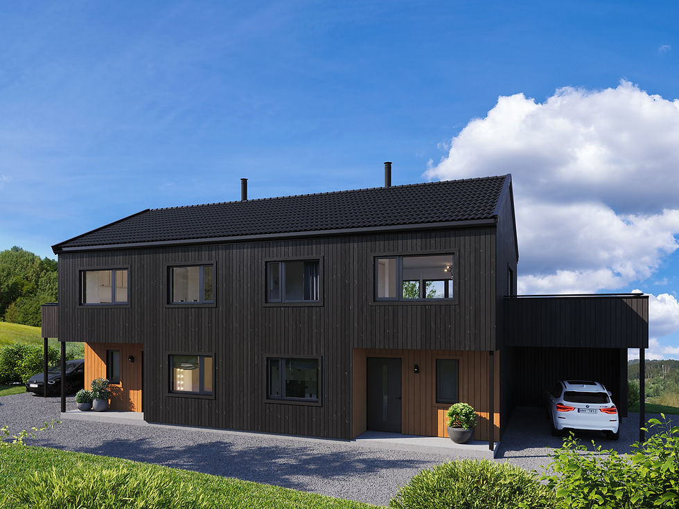 Tomannsbolig for Mesterbygg Numedal