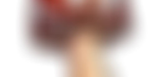 How to Draw a Mushroom!