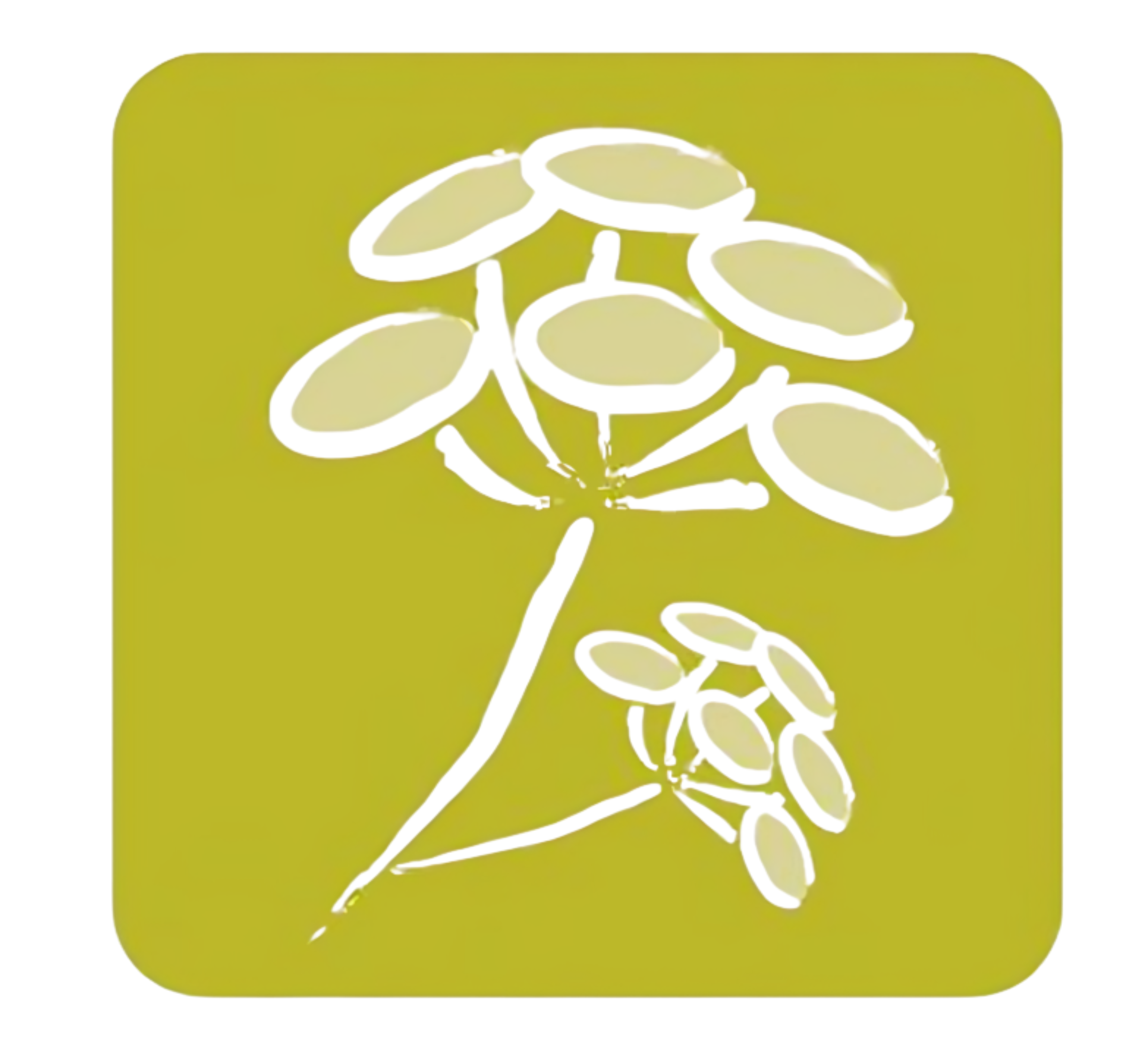 Design uten navn (29)_edited.png