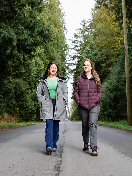 Langleycounsellorwalktalktherapy