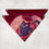 Miniatura: Bandanas de Fontaine (Gato)