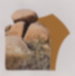 Joshua Tree 1, Mixed media on watercolor paper, 11" x 11", Private Collection