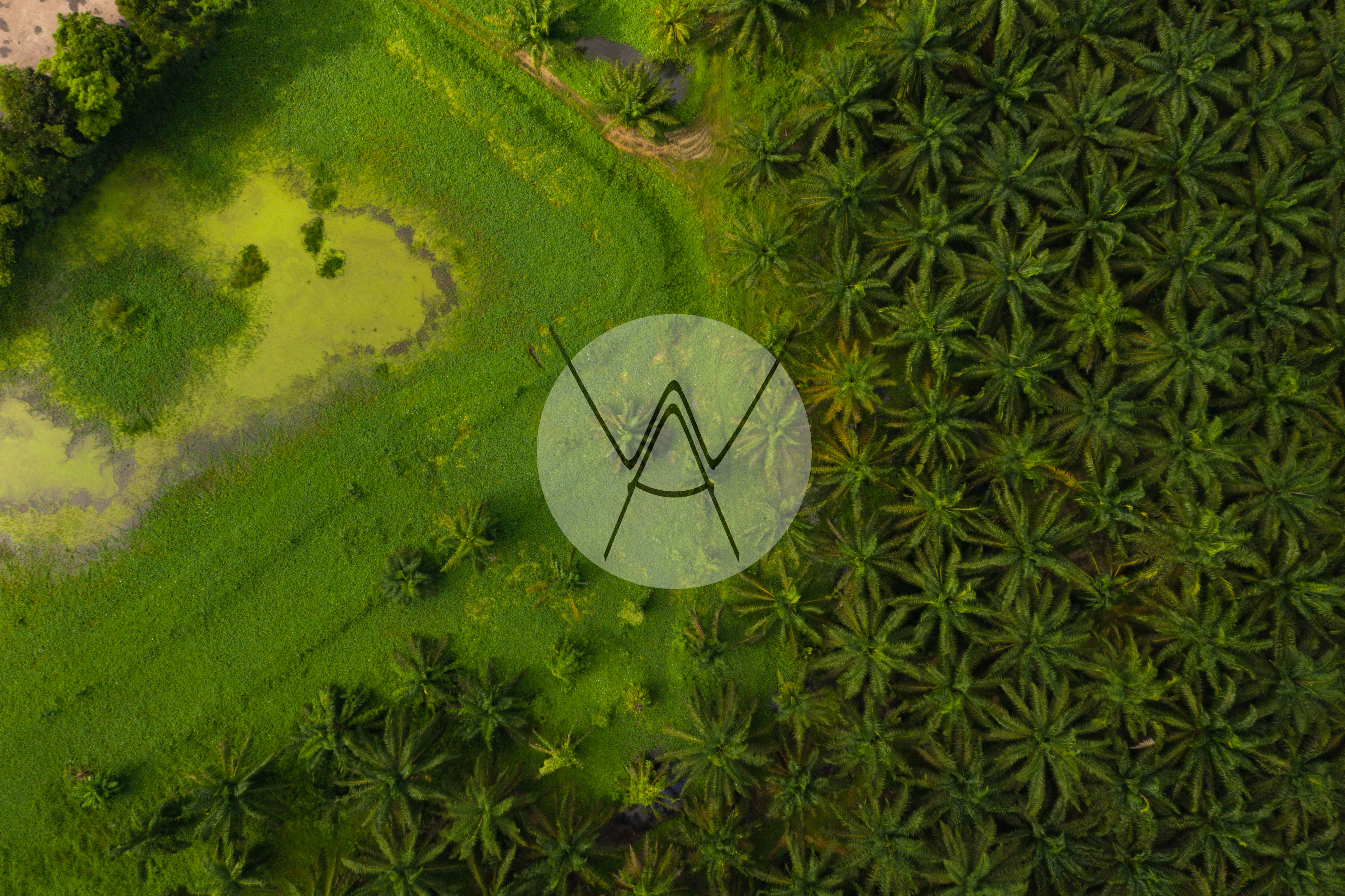 AO LUEK TAI - Thailand