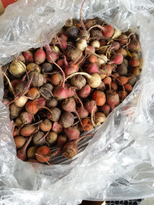 Beets.jpg