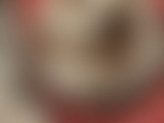 Glutenfreies Carrolinbrot