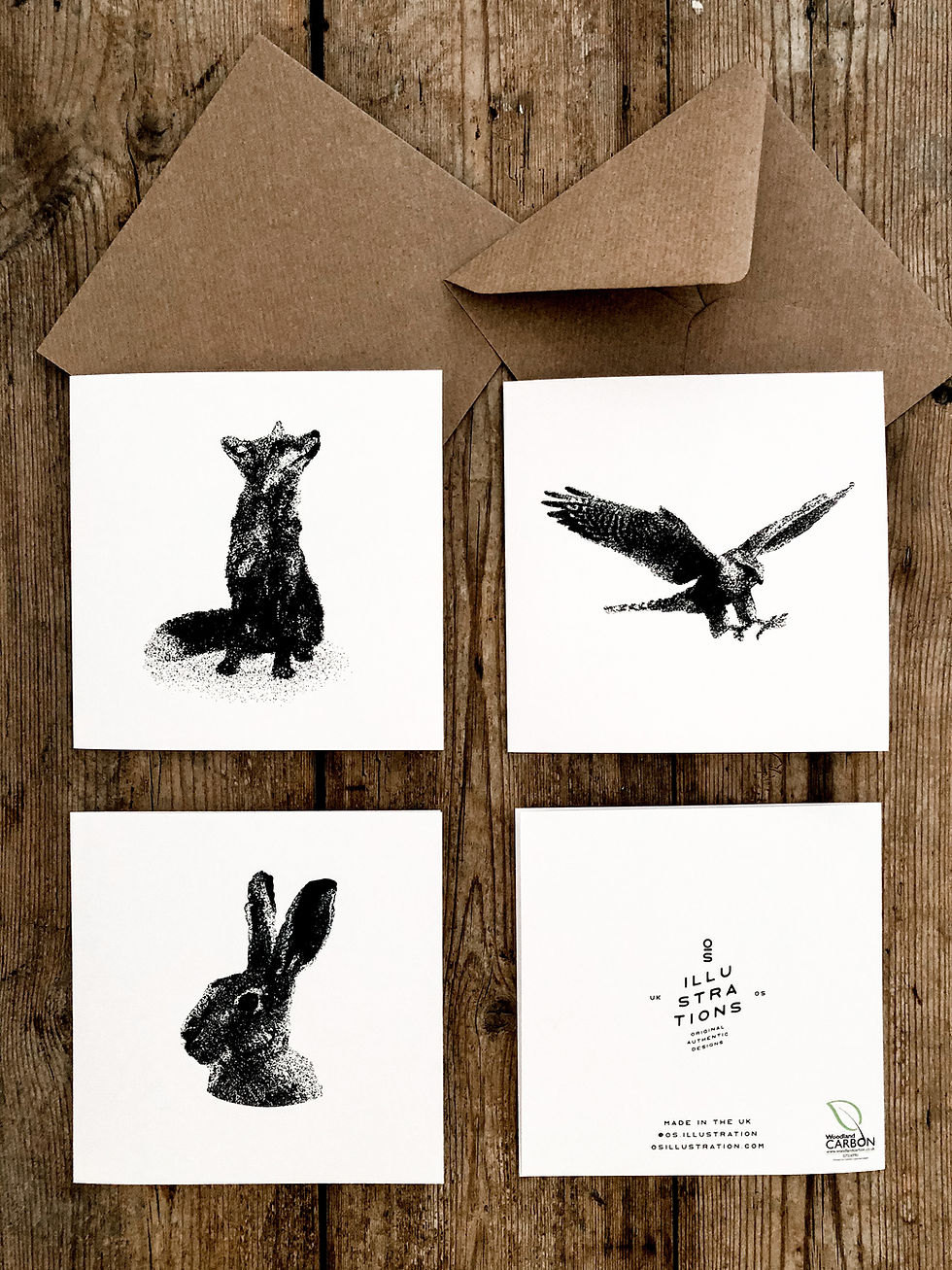 Thumbnail: WILDLIFE CARD PACK