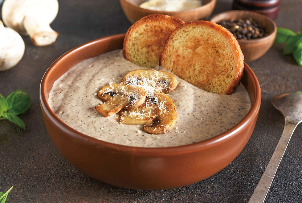 Fresh Wild Mushroom Soup