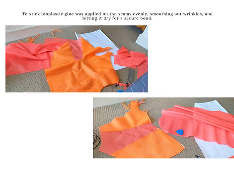 Screenshot (224)_edited.jpg