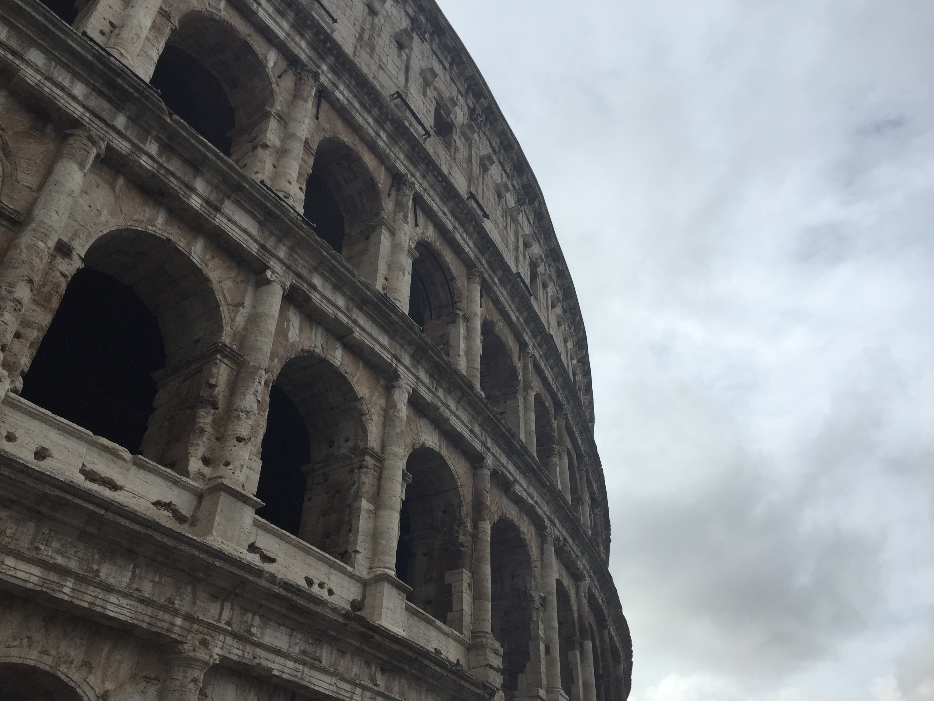 Flavian