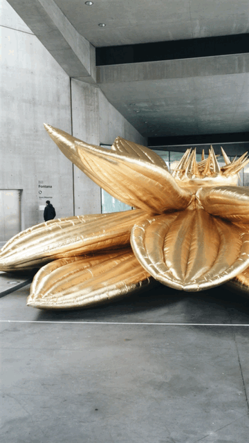 MAXXI