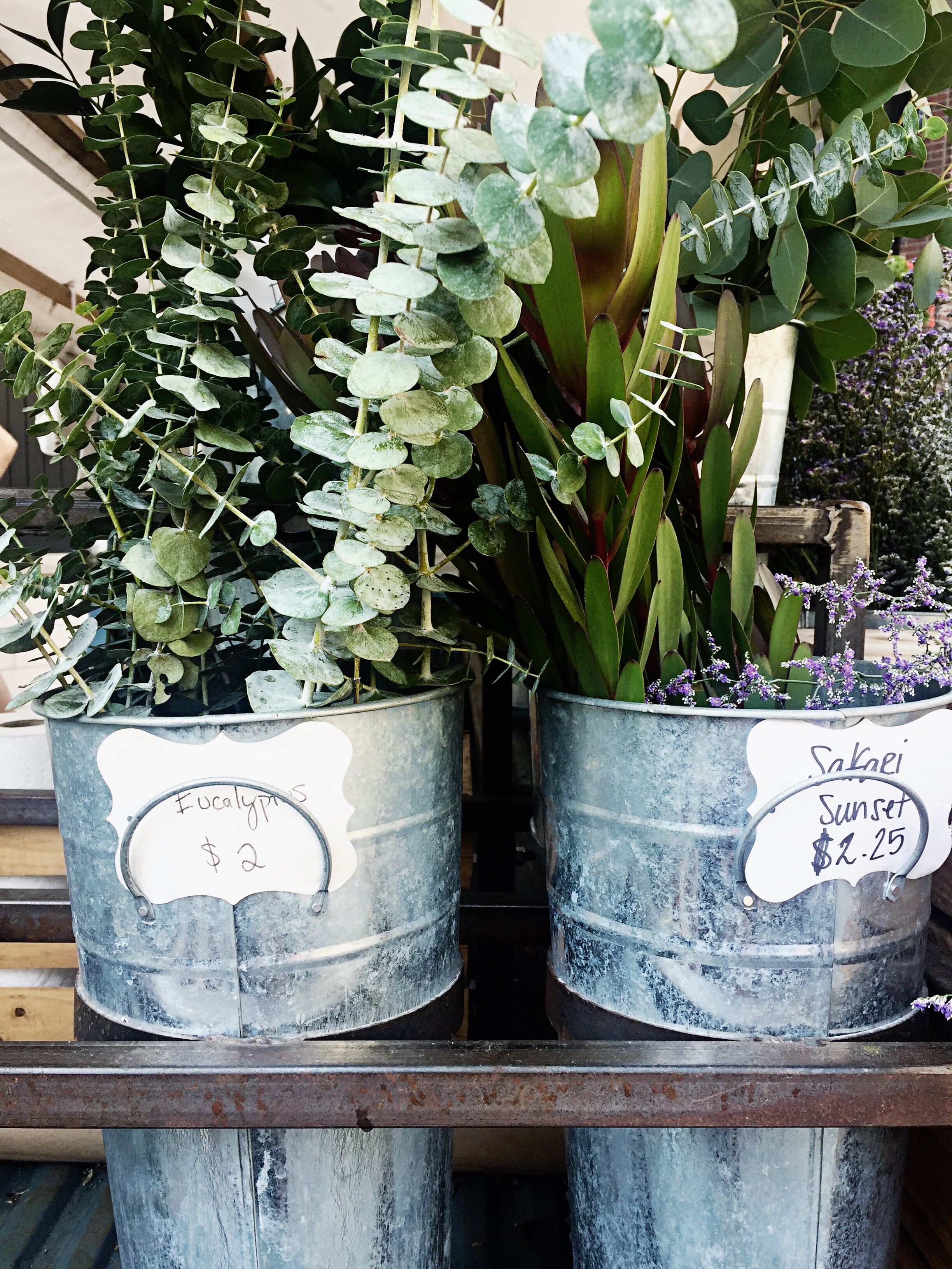 Market Greens