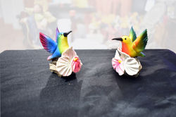 Colibries