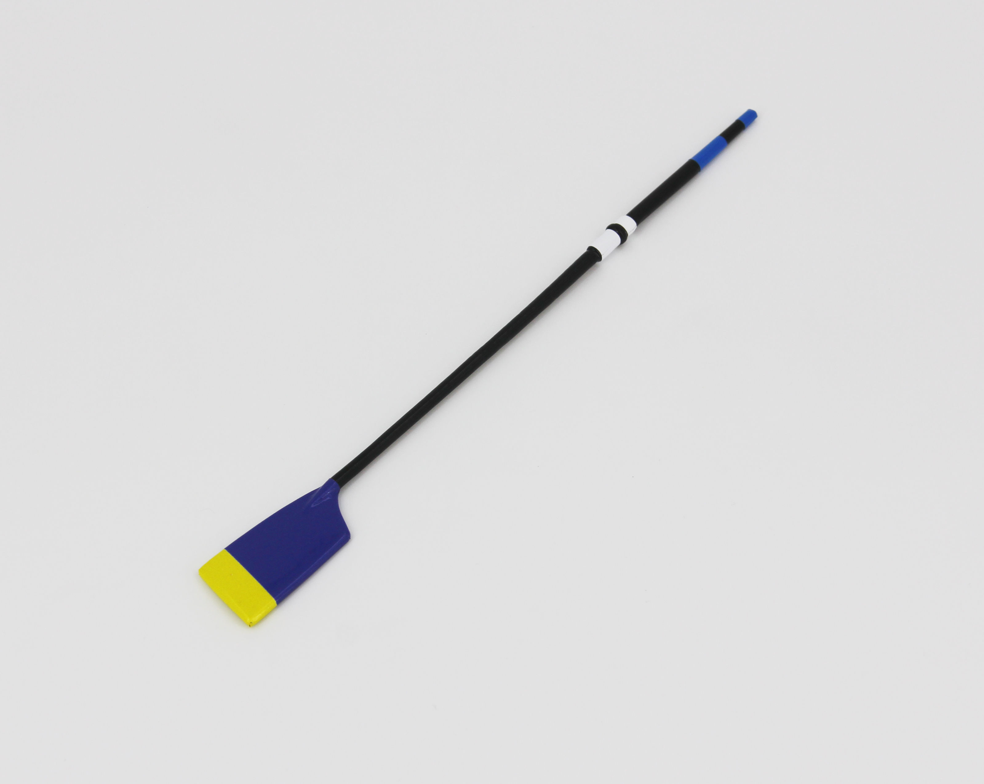 Remo in miniatura club CUS PAVIA