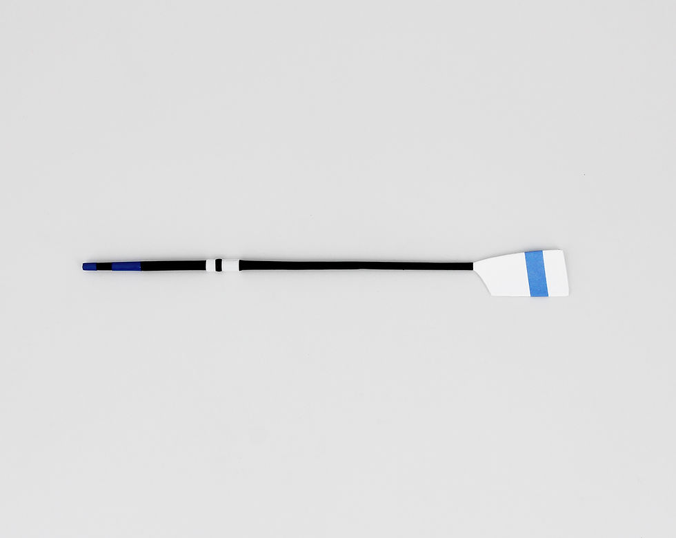 Miniatura: Remo in miniatura club SEBINO