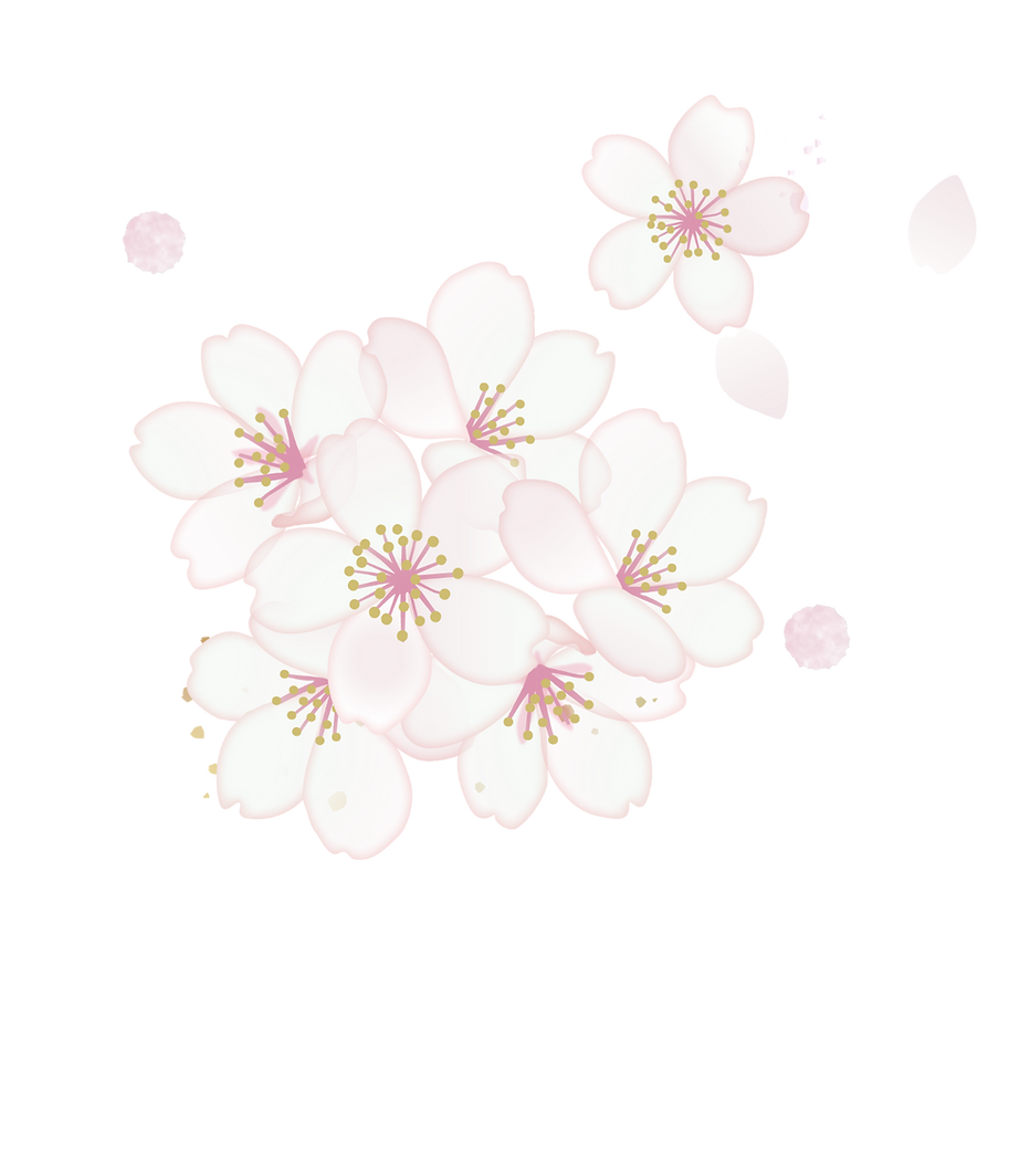 Sakura Petal
