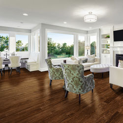 7006_Burnt-Umber-Oak