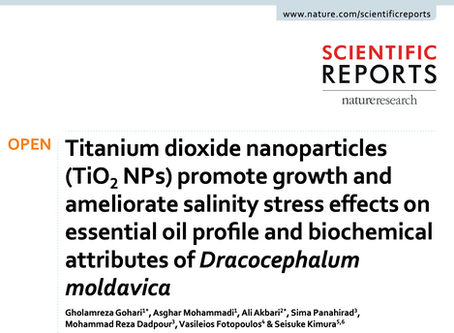 Scientific Reportsã«å
±åç ç©¶ã®ææãçºè¡šããŸãã