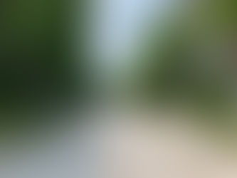シンポジウムで研究成果を発表しました