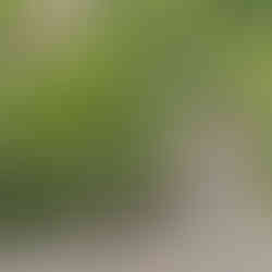 rockclimbing sugarloaf hill 