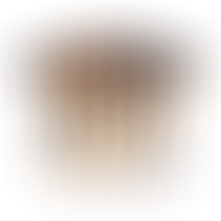 a French roll hair comb