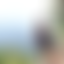 solo woman rock climbing sugarloaf hill 