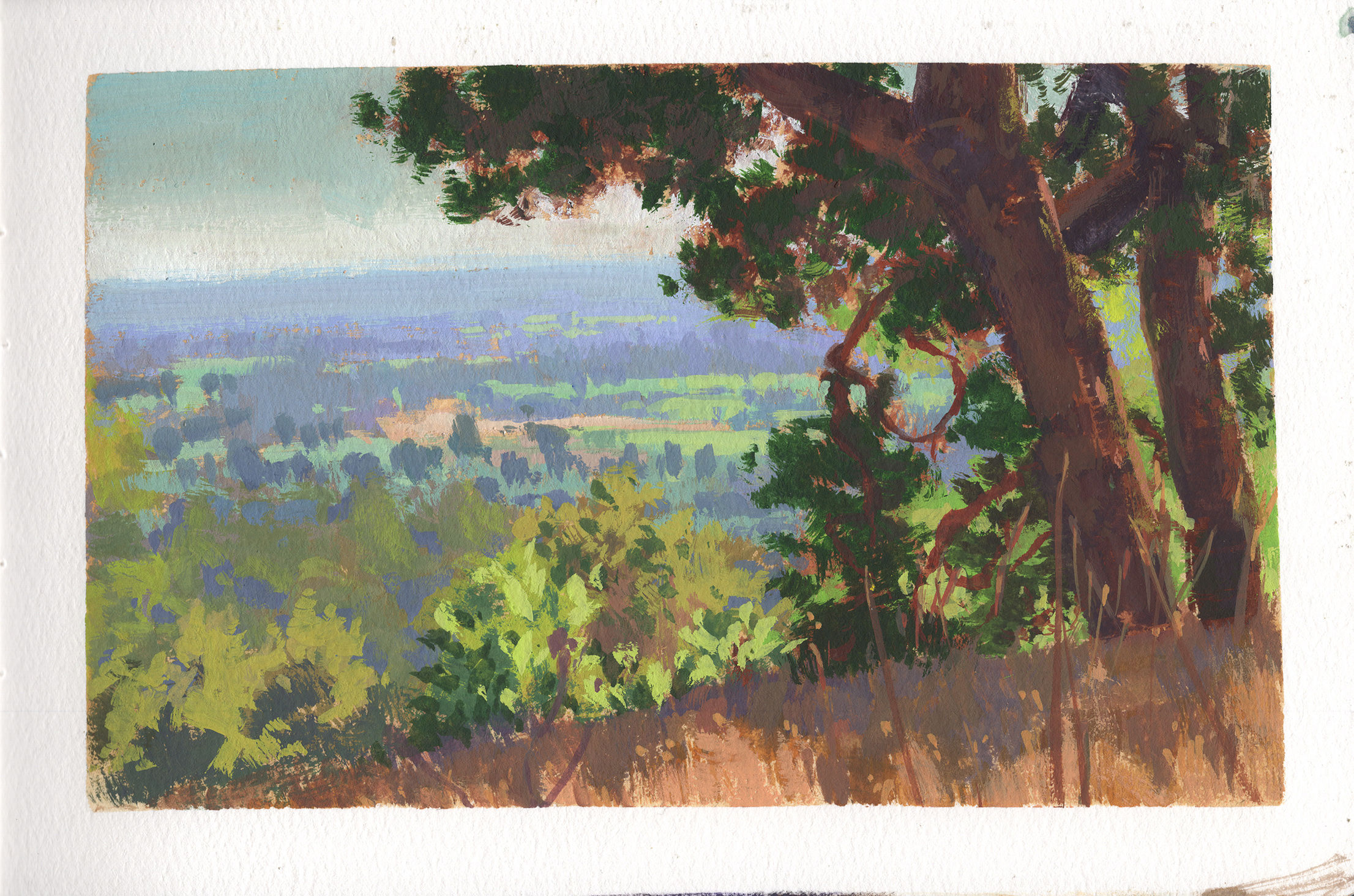 Paint Drip 362 "Under The Oaks, Shiloh Ranch"