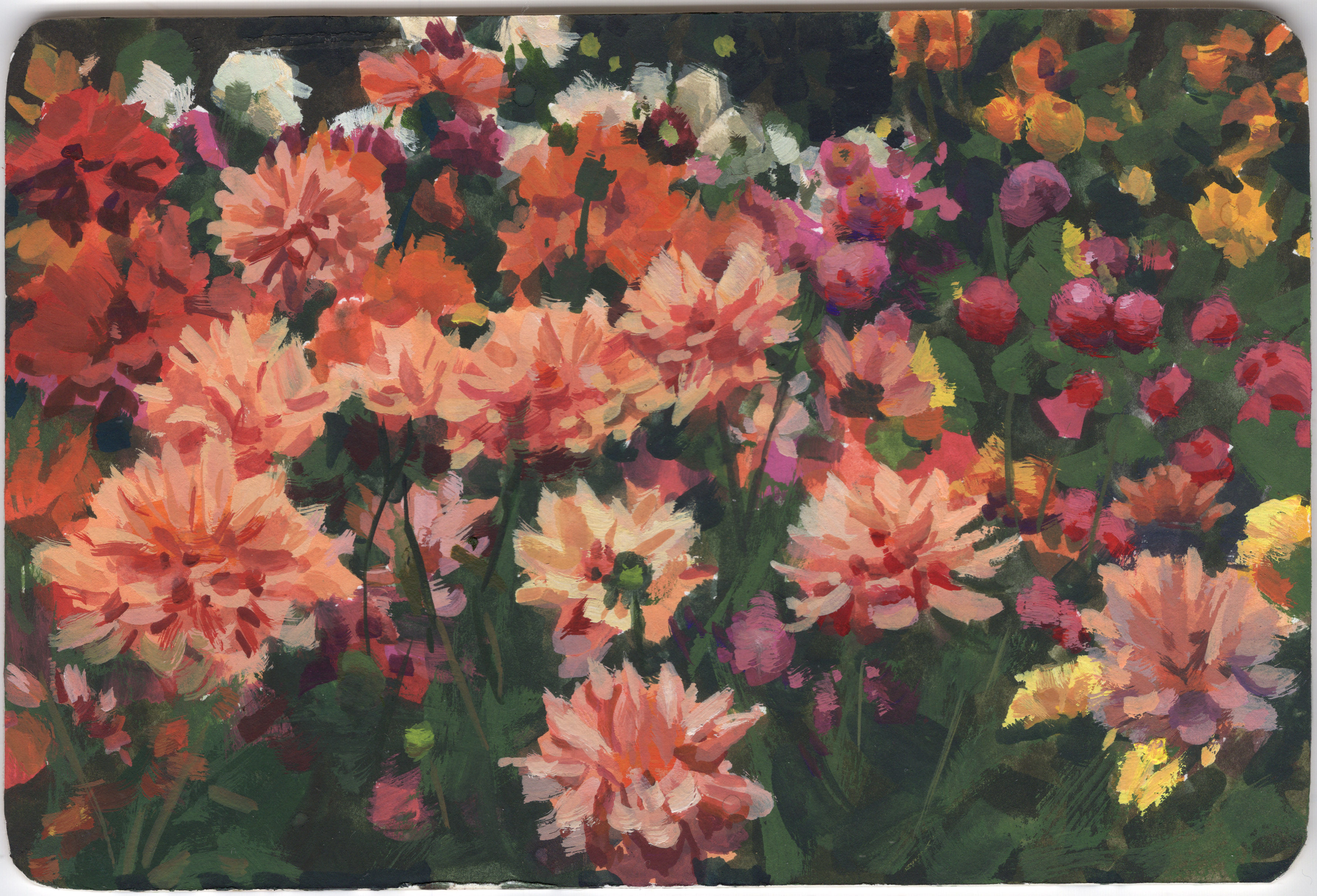 Landscapito 7 "Warm Dahlias"