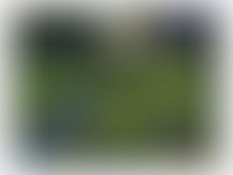 Catch Me In The Galleries This Spring!