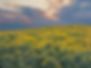 2021_12x16_Natural_Tapestry.jpg