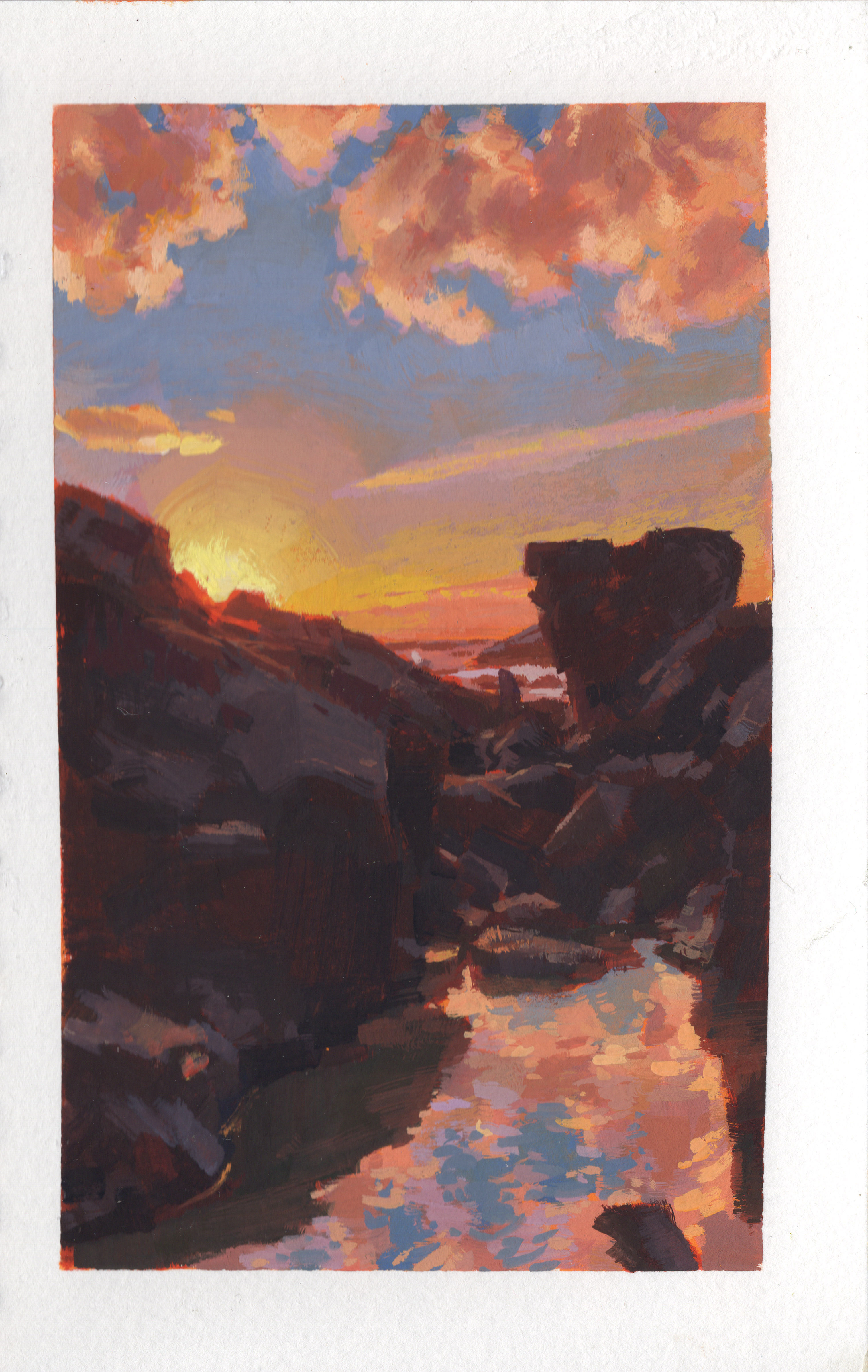 Paint Drip #338 Backlit Scene, Shell Beach, Sonoma Coast