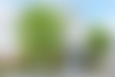 【悠ライフ盛岡】有料老人ホームの清掃担当（正社員/障がい者枠）の求人【入社祝い金5万円】| 岩手県盛岡市