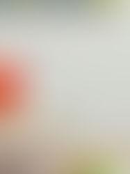 Mastering Memory: How to Retain Vast Amounts of Information for Board Exams