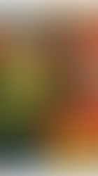 The Psychological Dangers of Rage Rooms: Why “Smashing Therapy” Isn’t What You Think