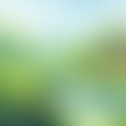 Innovative Strategies of Development for Sustainable Growth in 2025