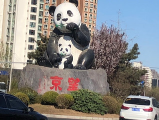 What APP's do I need while in China?