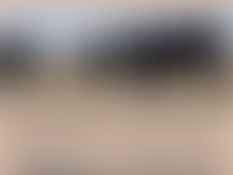 Picking Replacement Heifers: It's Not Just "Who's the Biggest"