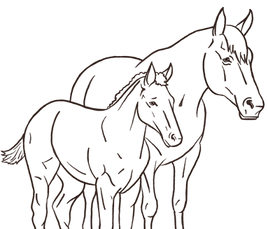 sketch of mare and foal