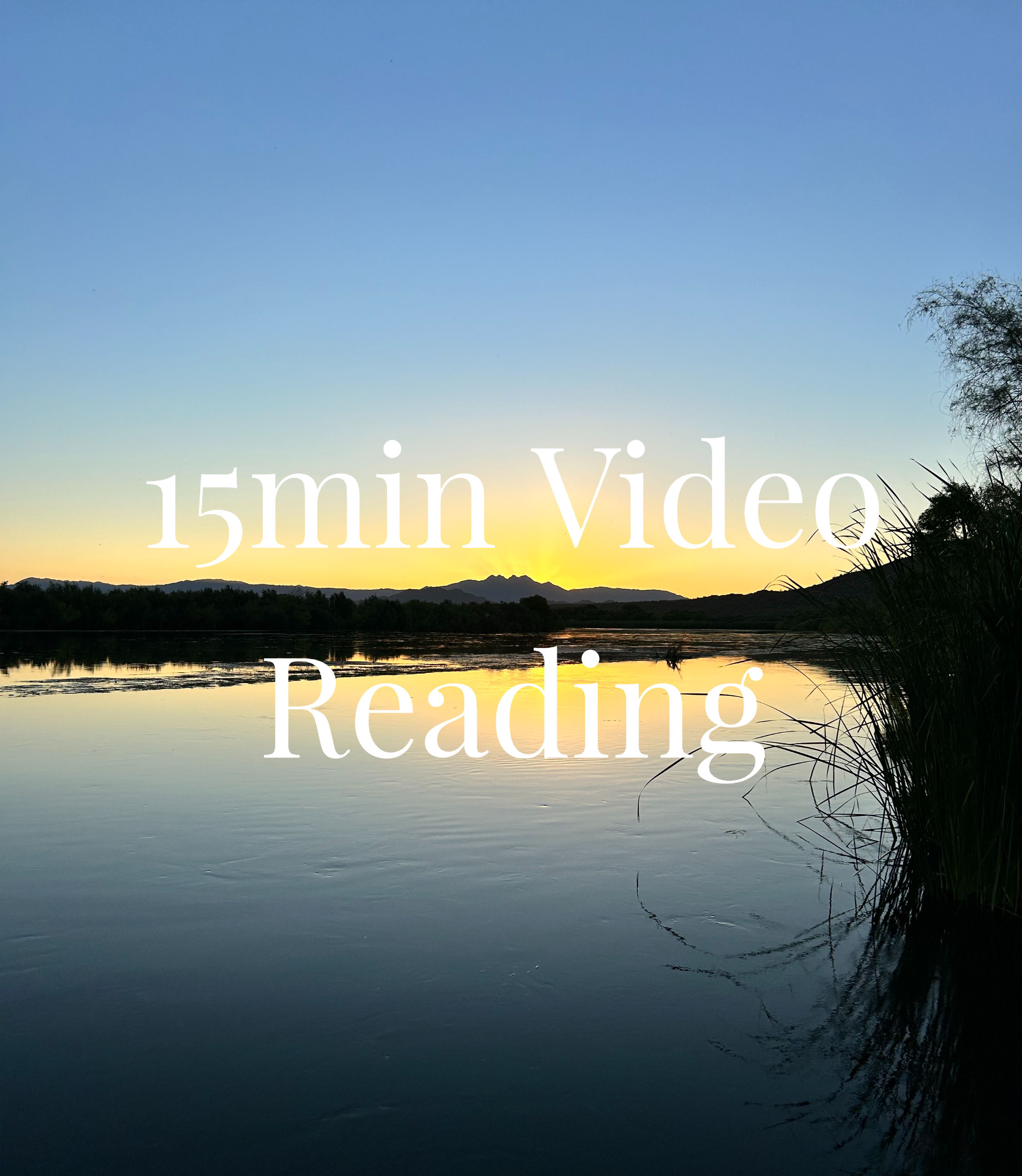 15min Video Reading - Mini Session