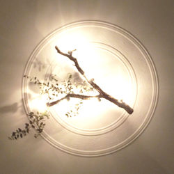 DSCF5719