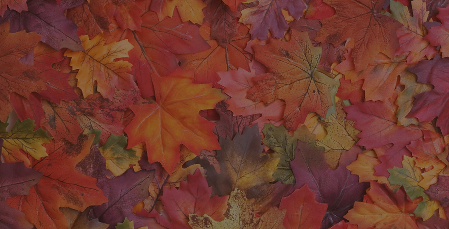 Untitled design-499.png