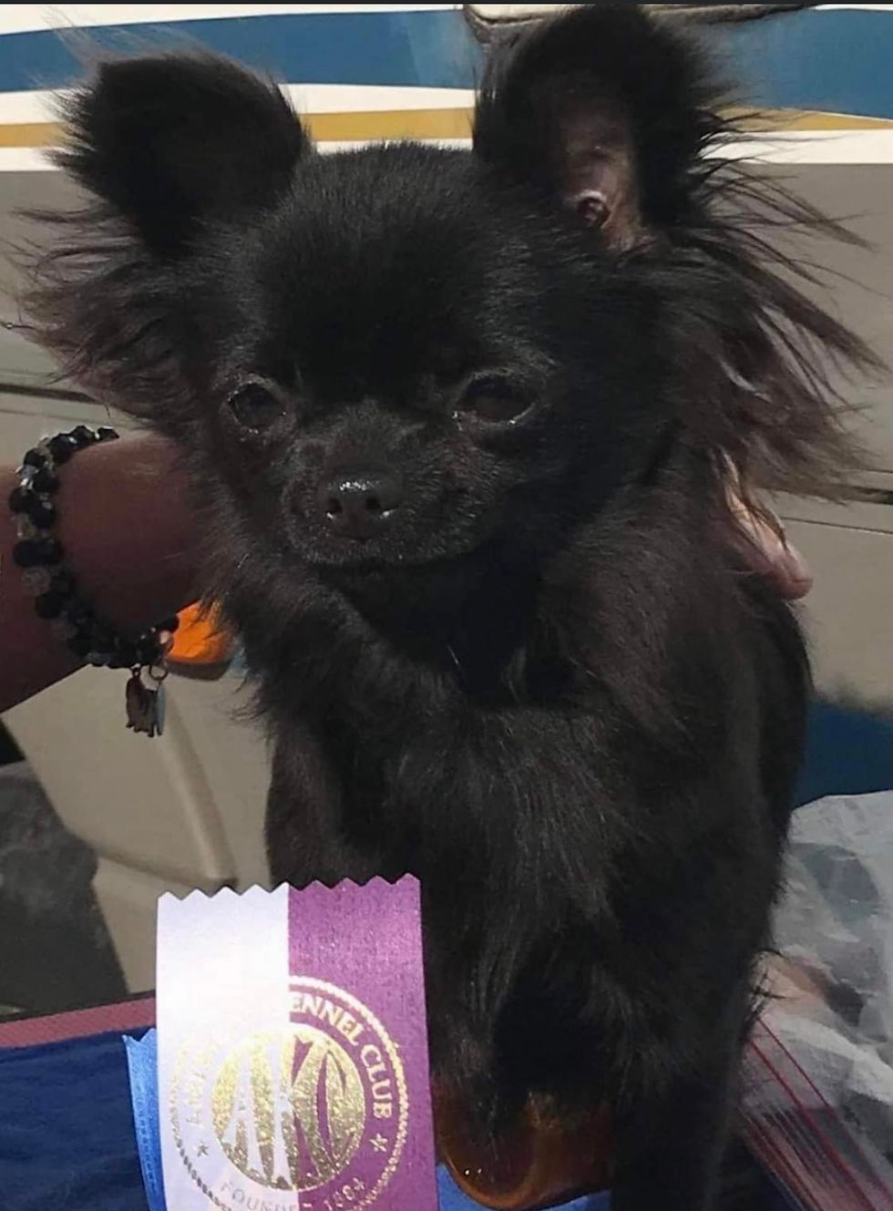 Bayberrys Tourmaline