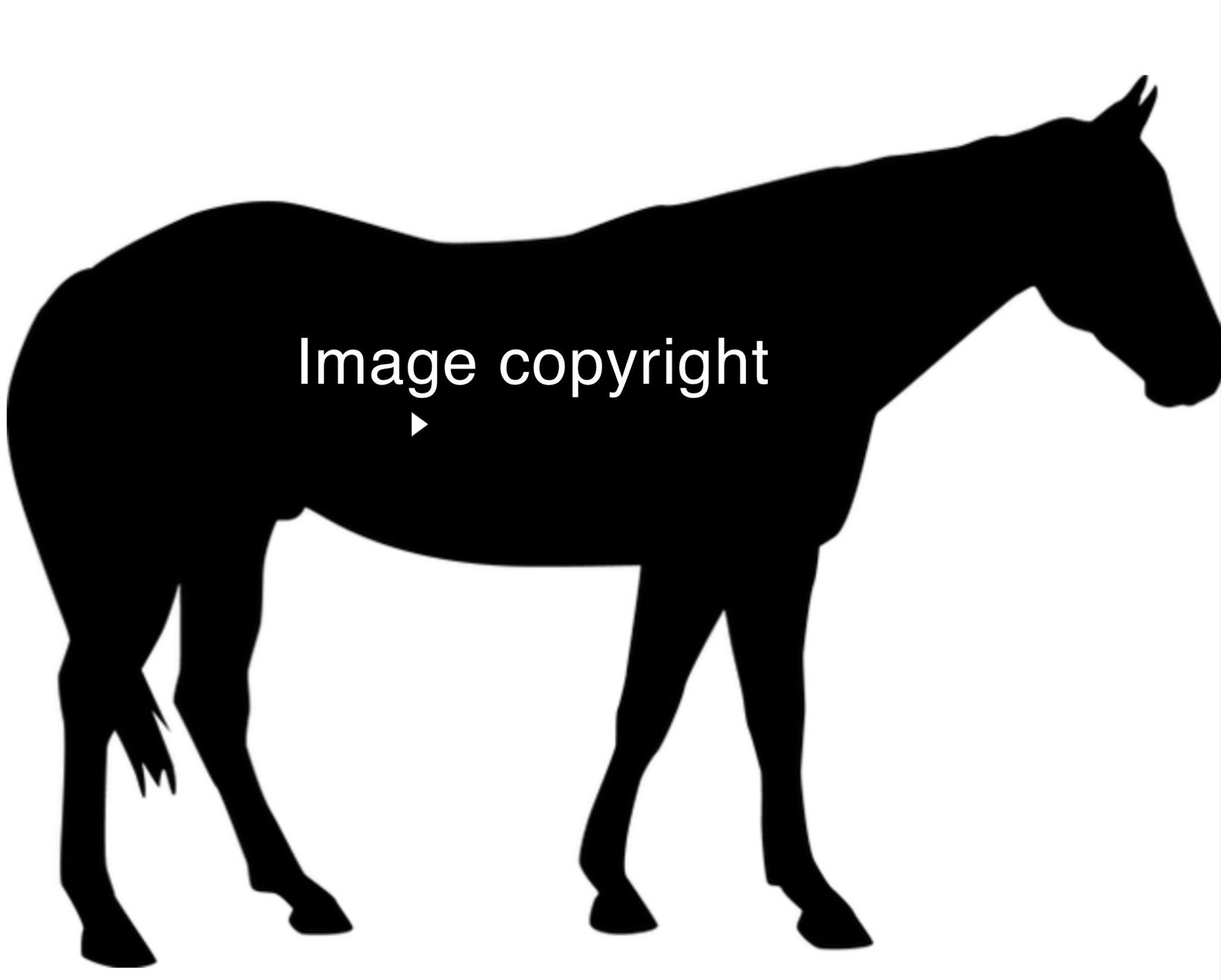 QUARTER HORSE DECAL YOUR CHOICE OF COLOR