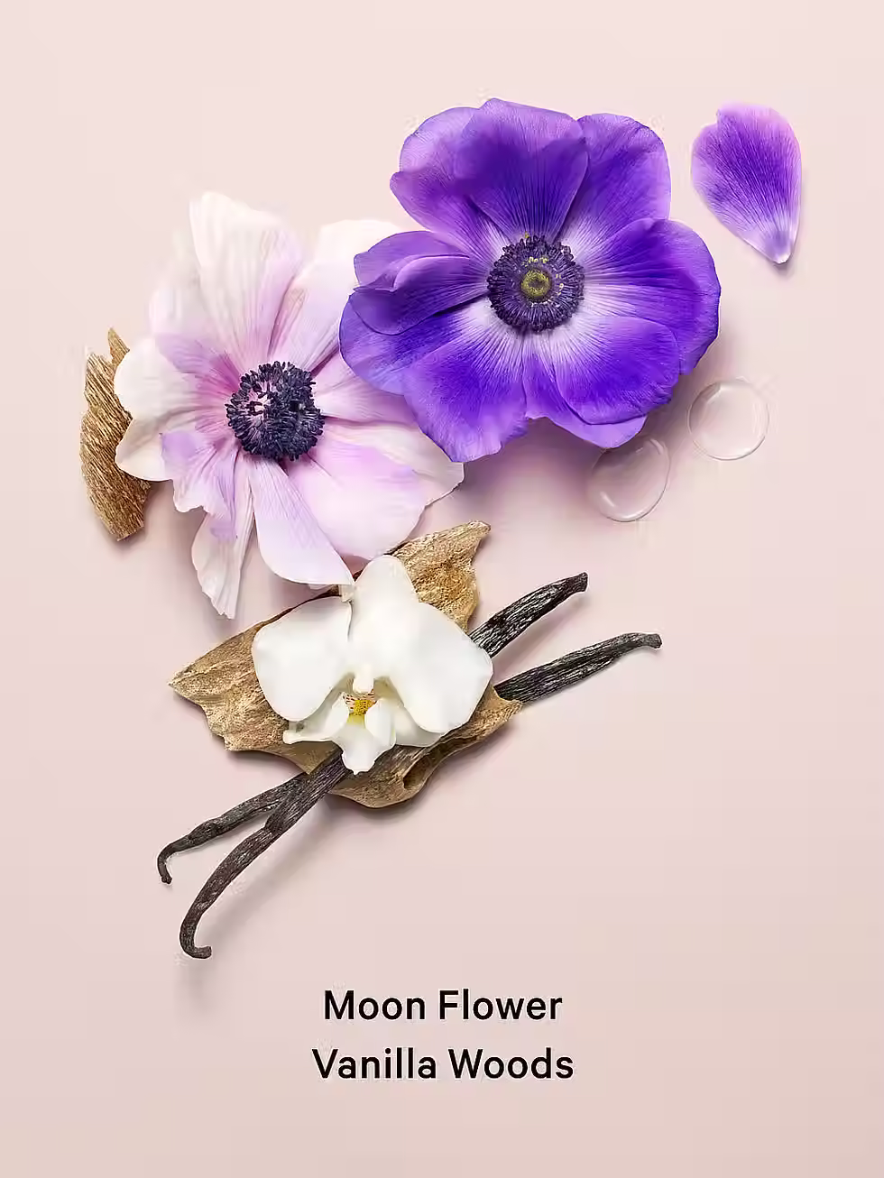 CLASSIC BODY SPRAYS BY VICTORIA'S SECRET MIDNIGHT BLOOM