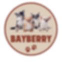 BAYBERRY_LOGO
